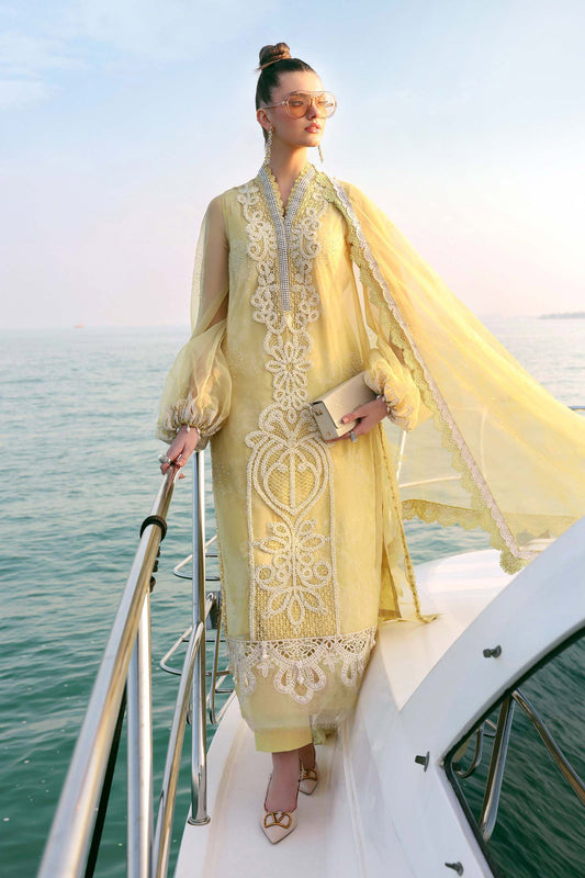 Embroidered Organza Suit